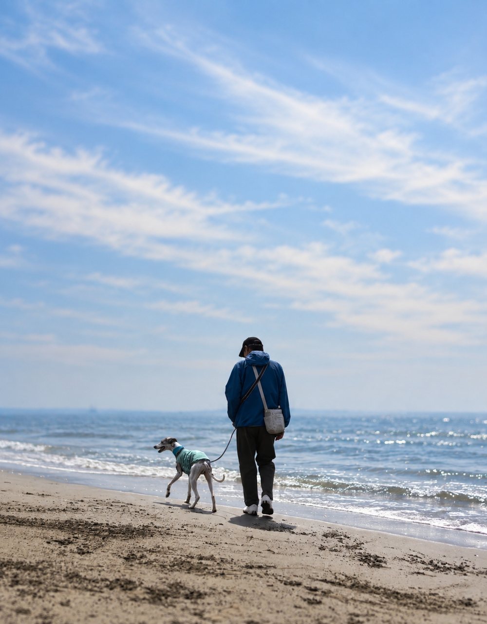 海辺を愛犬と歩く代表